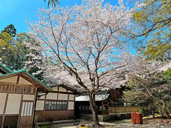 小津神社の自然