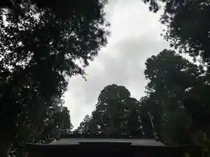 大宮温泉神社(栃木県)(2022年10月10日(月) 07時34分41秒投稿)