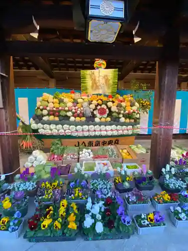 明治神宮(東京都)