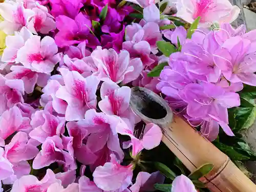 於菊稲荷神社(群馬県)