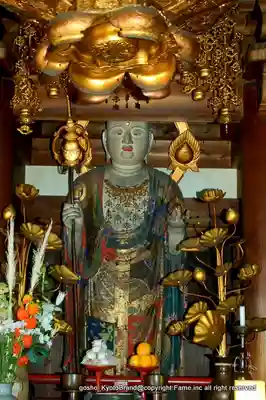 徳林禅菴(徳林庵)(京都府)