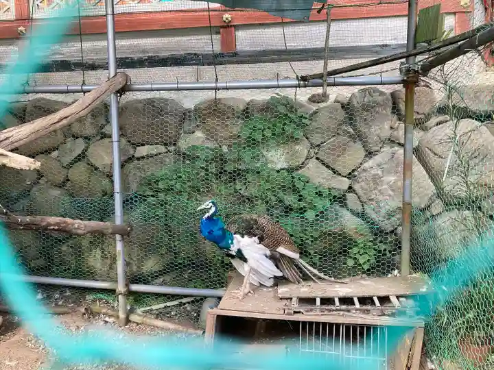 粉河産土神社(たのもしの宮)(和歌山県)