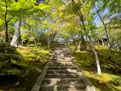 常寂光寺(京都府)