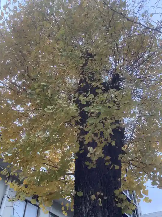 名古屋東照宮の庭園
