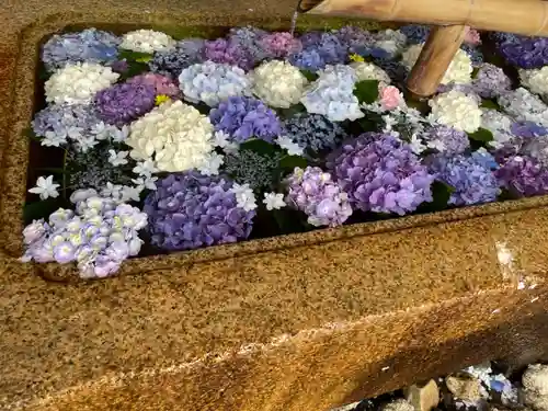 鶴岡八幡宮の手水舎