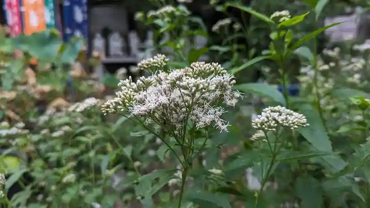 行願寺(革堂)(京都府)