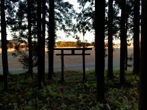 浅間神社の鳥居