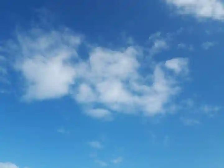 藤ヶ崎龍神社(滋賀県)