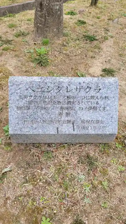 千光寺の{uncategorized: "未分類", other: "その他", undefined: "問題あり", building: "その他建物", grave: "お墓", sacred_gate: "鳥居", guardian: "狛犬", statue: "像", buddha: "仏像", history: "歴史", nature: "自然", garden: "庭園", animal: "動物", pagoda: "塔", temizu: "手水舎", mountain_gate: "山門・神門", sanctuary: "本殿・本堂", subordinate: "末社・摂社", art: "芸術", scenery: "景色", jizo: "地蔵", ema: "絵馬", goshuin: "御朱印", omikuji: "おみくじ", items: "授与品その他", amulet: "お守り", goshuincho: "御朱印帳", eats: "食事", festival: "お祭り", votive_dance: "神楽", shichigosan: "七五三参", wedding: "結婚式", experience: "体験その他", initially: "初詣", around: "周辺", anti_infection: "感染症対策"}