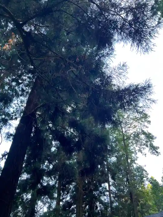 大宮温泉神社(栃木県)