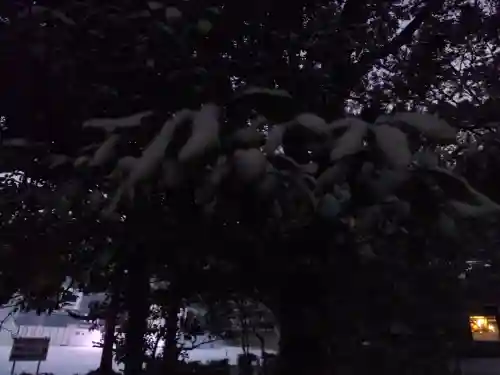 速谷神社(広島県)