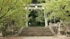 高知県護国神社の鳥居