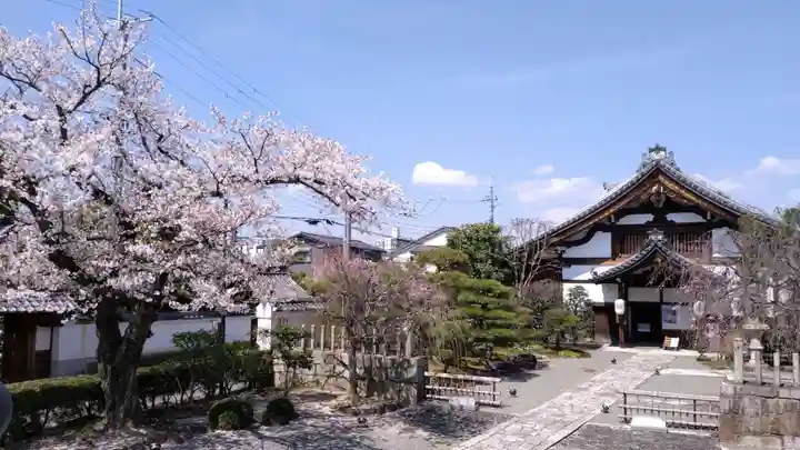 妙顯寺(妙顕寺)(京都府)
