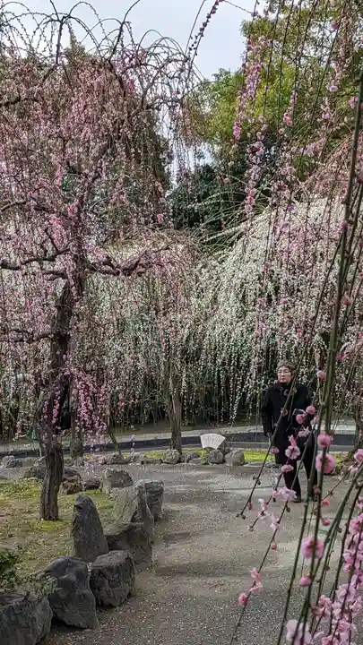 城南宮(京都府)