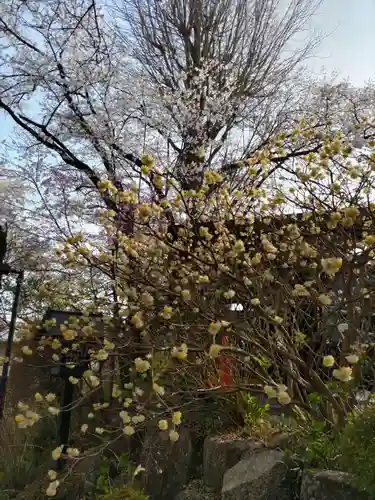 法華寺の庭園