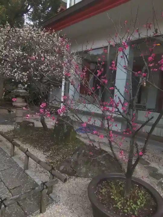 千葉天神の{uncategorized: "未分類", other: "その他", undefined: "問題あり", building: "その他建物", grave: "お墓", sacred_gate: "鳥居", guardian: "狛犬", statue: "像", buddha: "仏像", history: "歴史", nature: "自然", garden: "庭園", animal: "動物", pagoda: "塔", temizu: "手水舎", mountain_gate: "山門・神門", sanctuary: "本殿・本堂", subordinate: "末社・摂社", art: "芸術", scenery: "景色", jizo: "地蔵", ema: "絵馬", goshuin: "御朱印", omikuji: "おみくじ", items: "授与品その他", amulet: "お守り", goshuincho: "御朱印帳", eats: "食事", festival: "お祭り", votive_dance: "神楽", shichigosan: "七五三参", wedding: "結婚式", experience: "体験その他", initially: "初詣", around: "周辺", anti_infection: "感染症対策"}