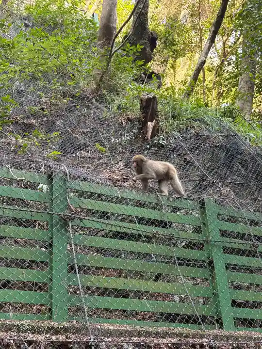 瀧安寺の{uncategorized: "未分類", other: "その他", undefined: "問題あり", building: "その他建物", grave: "お墓", sacred_gate: "鳥居", guardian: "狛犬", statue: "像", buddha: "仏像", history: "歴史", nature: "自然", garden: "庭園", animal: "動物", pagoda: "塔", temizu: "手水舎", mountain_gate: "山門・神門", sanctuary: "本殿・本堂", subordinate: "末社・摂社", art: "芸術", scenery: "景色", jizo: "地蔵", ema: "絵馬", goshuin: "御朱印", omikuji: "おみくじ", items: "授与品その他", amulet: "お守り", goshuincho: "御朱印帳", eats: "食事", festival: "お祭り", votive_dance: "神楽", shichigosan: "七五三参", wedding: "結婚式", experience: "体験その他", initially: "初詣", around: "周辺", anti_infection: "感染症対策"}
