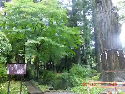 河口浅間神社(山梨県)