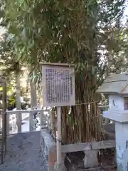 田村神社の歴史