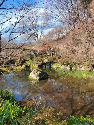 青龍山 吉祥寺の庭園