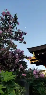 古録天神社の自然