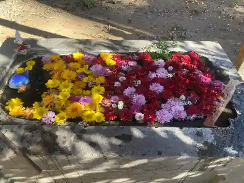 千代ケ岡八幡宮(栃木県)