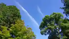 丹生川上神社（下社）の自然