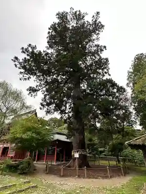 志波彦神社・鹽竈神社(宮城県)