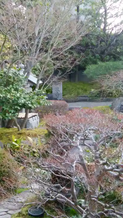 観智院(東寺子院)の自然