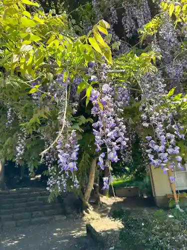 礒部神社(富山県)