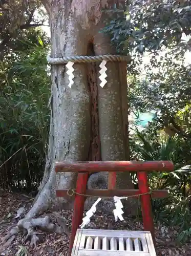 大鷲神社の自然