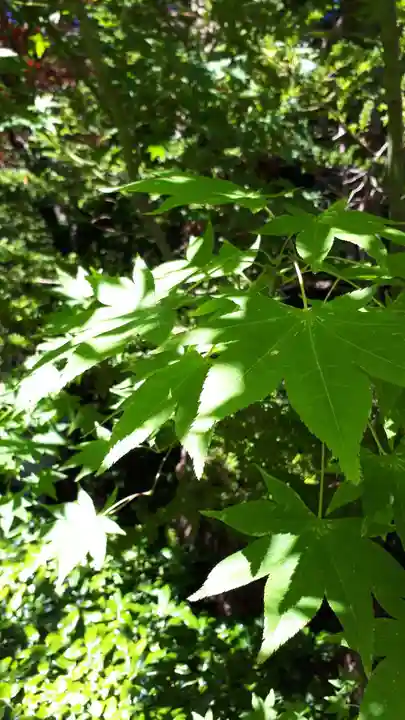 平岸天満宮・太平山三吉神社(北海道)
