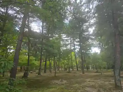 仁和寺(京都府)