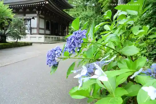 円覚寺(神奈川県)