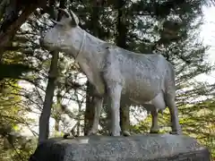 真楽寺の狛犬