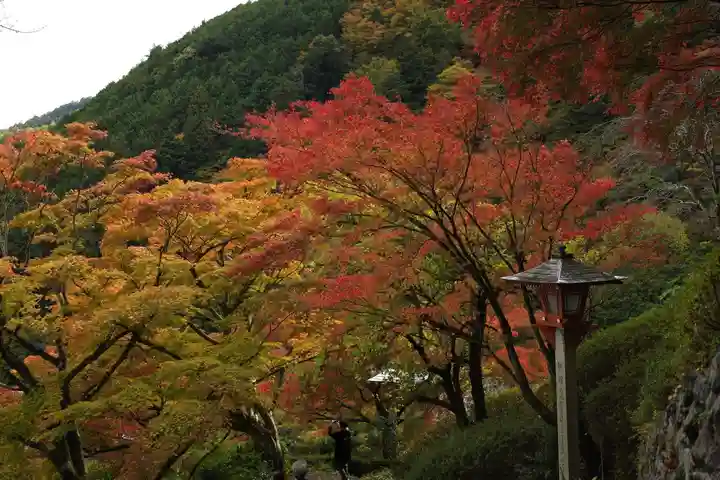 善峯寺(京都府)