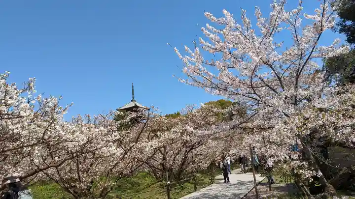 仁和寺(京都府)