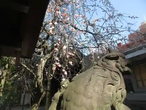 牛天神北野神社の狛犬