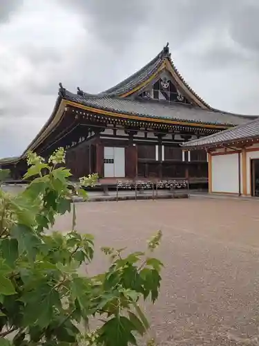 蓮華王院（三十三間堂）(京都府)