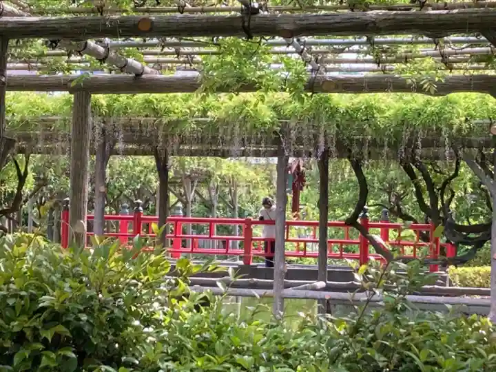 亀戸天神社の庭園