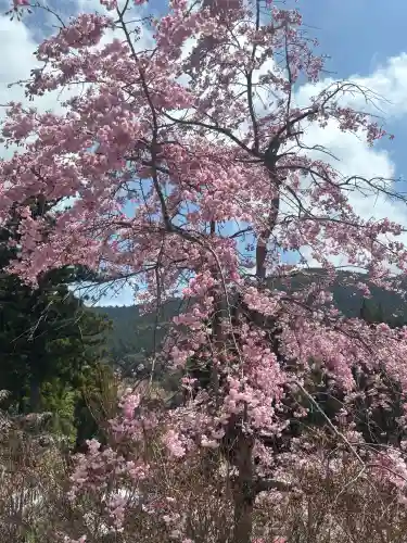 呑山観音寺の{uncategorized: "未分類", other: "その他", undefined: "問題あり", building: "その他建物", grave: "お墓", sacred_gate: "鳥居", guardian: "狛犬", statue: "像", buddha: "仏像", history: "歴史", nature: "自然", garden: "庭園", animal: "動物", pagoda: "塔", temizu: "手水舎", mountain_gate: "山門・神門", sanctuary: "本殿・本堂", subordinate: "末社・摂社", art: "芸術", scenery: "景色", jizo: "地蔵", ema: "絵馬", goshuin: "御朱印", omikuji: "おみくじ", items: "授与品その他", amulet: "お守り", goshuincho: "御朱印帳", eats: "食事", festival: "お祭り", votive_dance: "神楽", shichigosan: "七五三参", wedding: "結婚式", experience: "体験その他", initially: "初詣", around: "周辺", anti_infection: "感染症対策"}