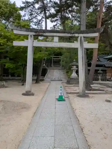 今宮神社の{uncategorized: "未分類", other: "その他", undefined: "問題あり", building: "その他建物", grave: "お墓", sacred_gate: "鳥居", guardian: "狛犬", statue: "像", buddha: "仏像", history: "歴史", nature: "自然", garden: "庭園", animal: "動物", pagoda: "塔", temizu: "手水舎", mountain_gate: "山門・神門", sanctuary: "本殿・本堂", subordinate: "末社・摂社", art: "芸術", scenery: "景色", jizo: "地蔵", ema: "絵馬", goshuin: "御朱印", omikuji: "おみくじ", items: "授与品その他", amulet: "お守り", goshuincho: "御朱印帳", eats: "食事", festival: "お祭り", votive_dance: "神楽", shichigosan: "七五三参", wedding: "結婚式", experience: "体験その他", initially: "初詣", around: "周辺", anti_infection: "感染症対策"}