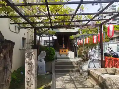 藤之宮　春日神社（野田の藤跡）(大阪府)