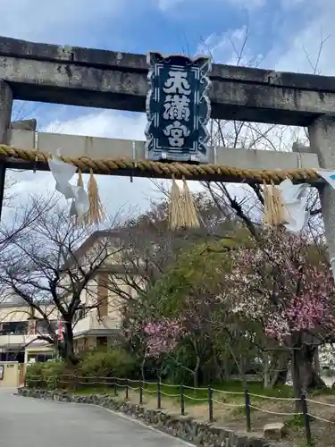 吉祥院天満宮の鳥居