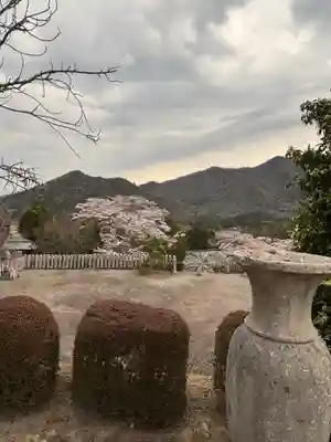 和田寺(兵庫県)