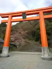 藤島神社（贈正一位新田義貞公之大宮）の鳥居