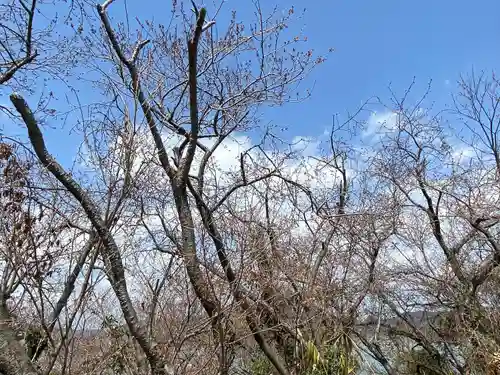 世界第一八百萬神之御殿　寄島分殿(岡山県)