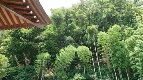 根岸山大聖院覺王寺の自然