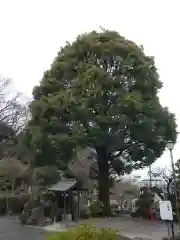 安立寺(神奈川県)