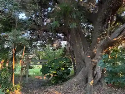 天満宮(千葉県)